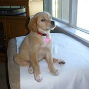 Katie Remley's photo