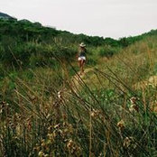 Dudy Bernstein's photo