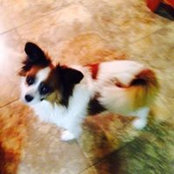 Janet Petgen's photo