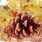 Tracy Lund's photo
