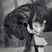 Sinem Deçanさんの写真