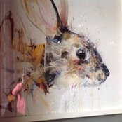 Foto von Fabienne Clard