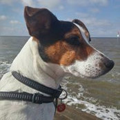 Stanley Blant's photo