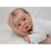 Naomi Haskell's photo