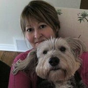Leigh Gulbransen's photo