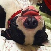 Siân Bloom's photo
