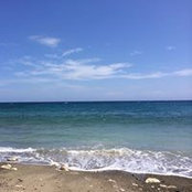 Foto von Michael Connors