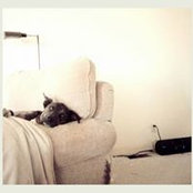 Liana Aker's photo