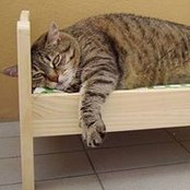 Sivka Burka's photo