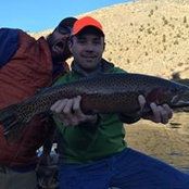 Steven Smith's photo