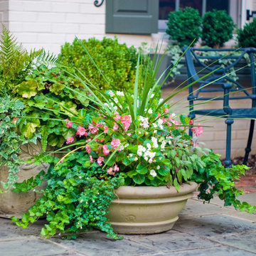 MYERS PARK CHARLESTON COURTYARD