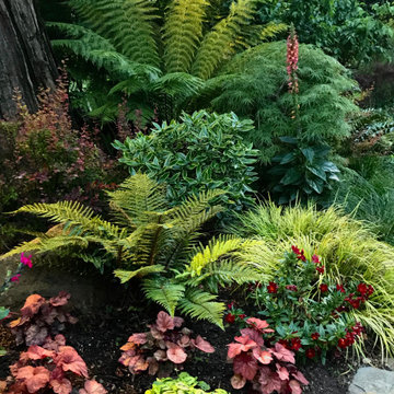 Vibrant Piedmont Front Yard