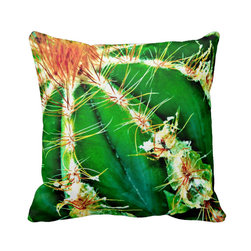 "Barbs" JTG Art Pillow - Decorative Pillows