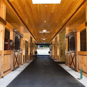 Steeply Chase Farm