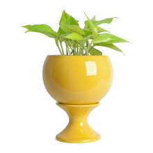 58th indoor garden