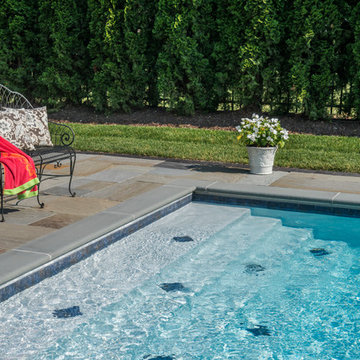 Burr Ridge, IL Swimming Pool With Sunshelf, Diving Board
