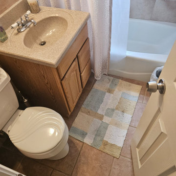Orland Park Kitchen Remodel 2024