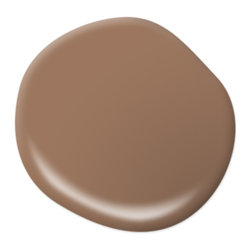 Baked Sienna S220-6 - Paint