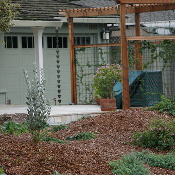Los Gatos Front Yard Lounge