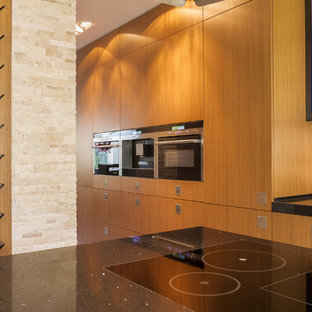 Modern Kitchen Designs- San Fernando Valley