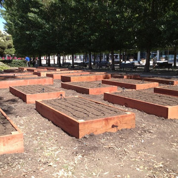 ebay, inc. Corporate Vegetable Garden Installation & Employee Garden Education