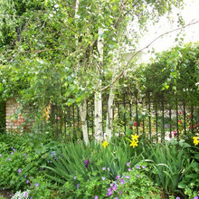 flower beds