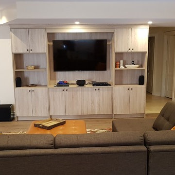 Basement Renovation in North York, Toronto