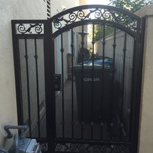 Fence Ideas