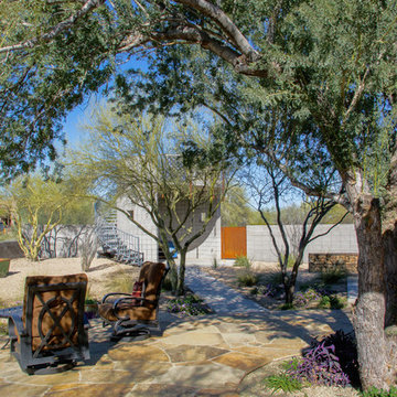 Sleek Landscape Design