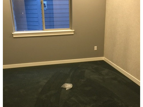 Help My Brand New Black Carpet Looks Green And Blue - What Color Paint Goes With Dark Green Carpet Help My Brand New Black Carpet Looks Green And Blue - What Color Paint Goes With Dark Green Carpet