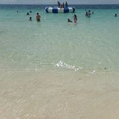 Carolyn Davis's photo