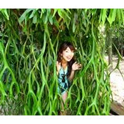 Tomomi Nishimura's photo