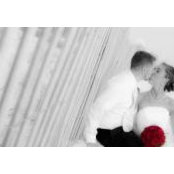 Trisha Letourneau's photo
