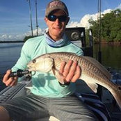 David Laurich's photo