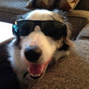 David Gregory's photo