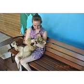 Monica Brennan-Pavlicek's photo