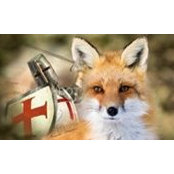 Michel Crombois's photo