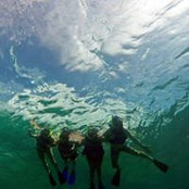 Jason Thomas-DeYoung's photo