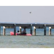 Sara Reid's photo