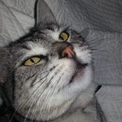 Foto von Kat Noonan