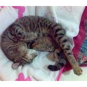 Nina Cuk's photo