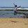 Anil Reddy