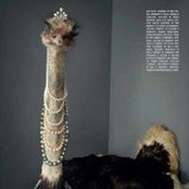 Deniz Cavas's photo