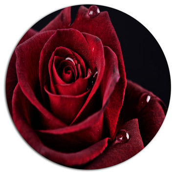 Red Rose With Raindrops On Black, Flowers Round Wall Art, 23"