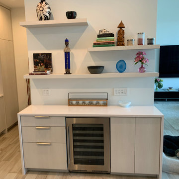 Phantom Pearl Euro Dry Bar – Tampa Bay Custom Cabinetry