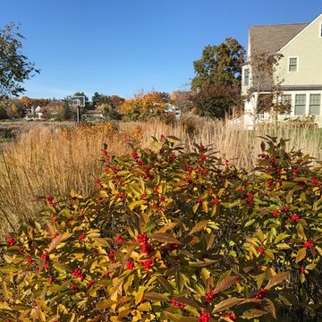 Waterfront Garden, Greenwich CT