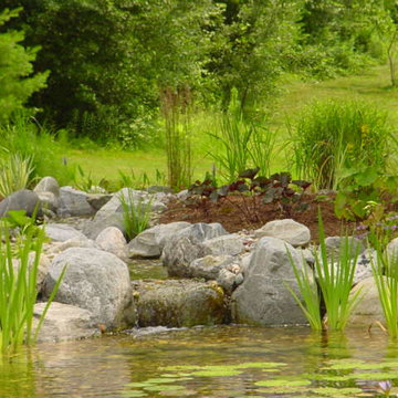 Very Natural Looking Winding Stream
