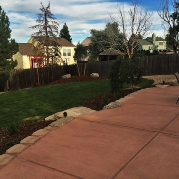 Aurora - Complete overhaul of existing backyard
