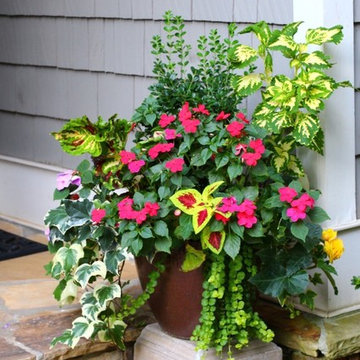 Potted Gardens