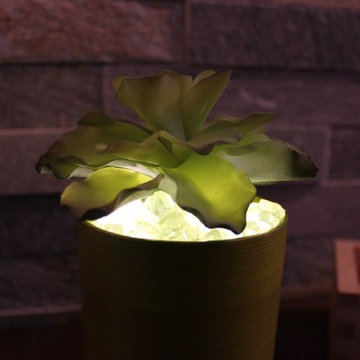 Lumiere - Green Bamboo - Agave